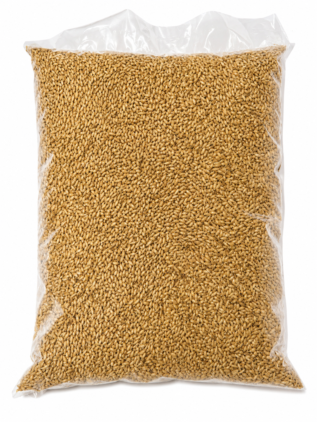 Agrarmarkt Engert Kanariensaat 1 kg