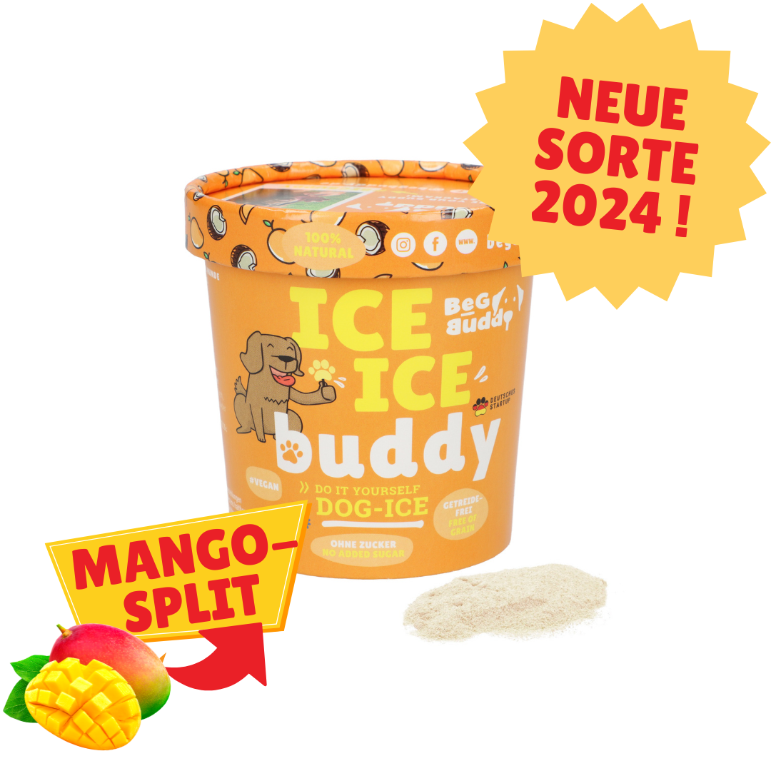 BeG Buddy Eispulver versch. Sorten