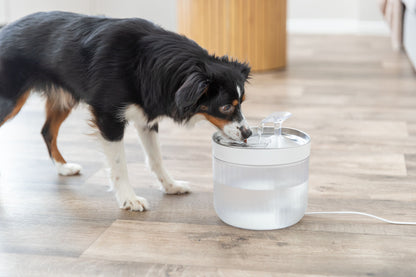 Trixie  Aqua Clear Trinkbrunnen für Hunde