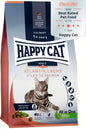 Happy Cat Atlantic Salmon