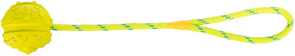 Trixie Aqua Toy Hundeball am Seil