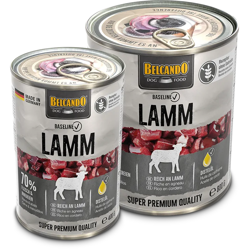BELCANDO Baseline Lamm