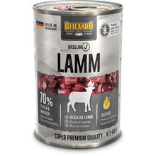 BELCANDO Baseline Lamm