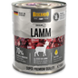 BELCANDO Baseline Lamm