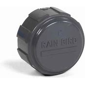 Bevo Rain Bird Kappe PVC Innengewinde 10bar Grau S1