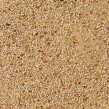 Beyers Deli Nature 51 - Budgies Base 20 kg