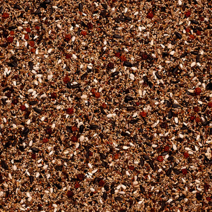 Beyers Deli Nature 96-Bullfinches & Pyrrhulas 15 kg