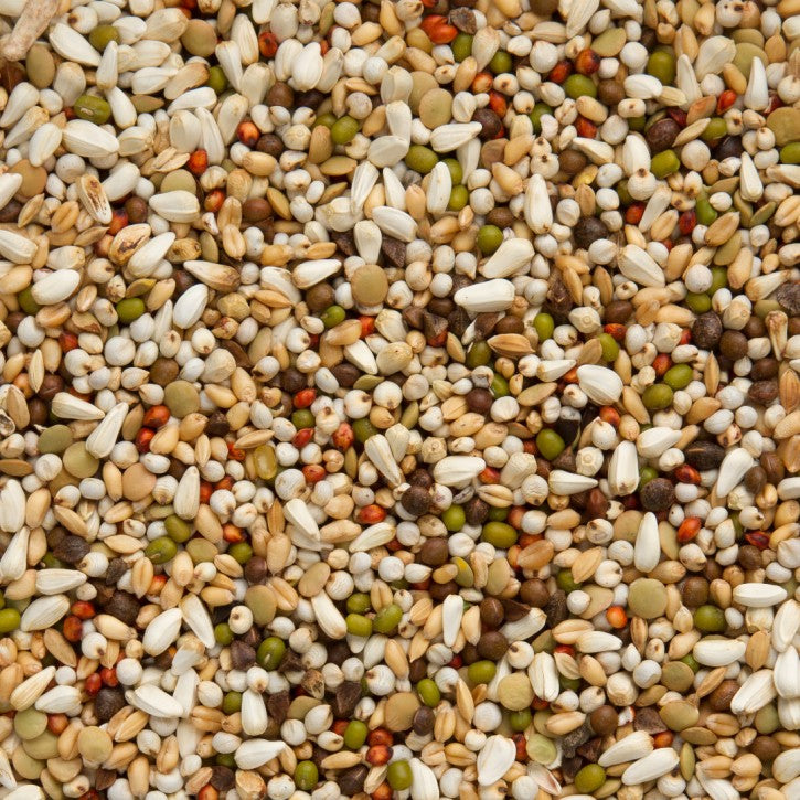 Beyers Wal Zoontjens Yellow 20 kg