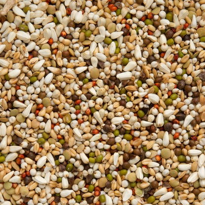 Beyers Wal Zoontjens Yellow 20 kg