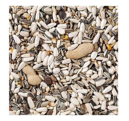 Beyers Deli Nature 60-Parrot Basic 15 kg