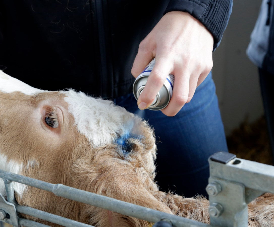 Kerbl Blue Spray Haut- und Klauenpflegespray für Tiere