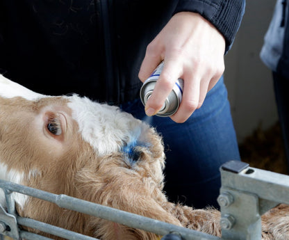 Kerbl Blue Spray Haut- und Klauenpflegespray für Tiere