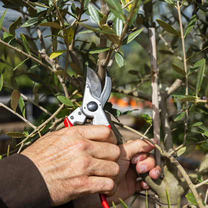 Felco 11 One-Hand Pruning Shears - High Performance - Classic Model, New Generation