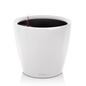 LECHUZA Pflanzenkübel CLASSICO Premium 43 LS Komplettset