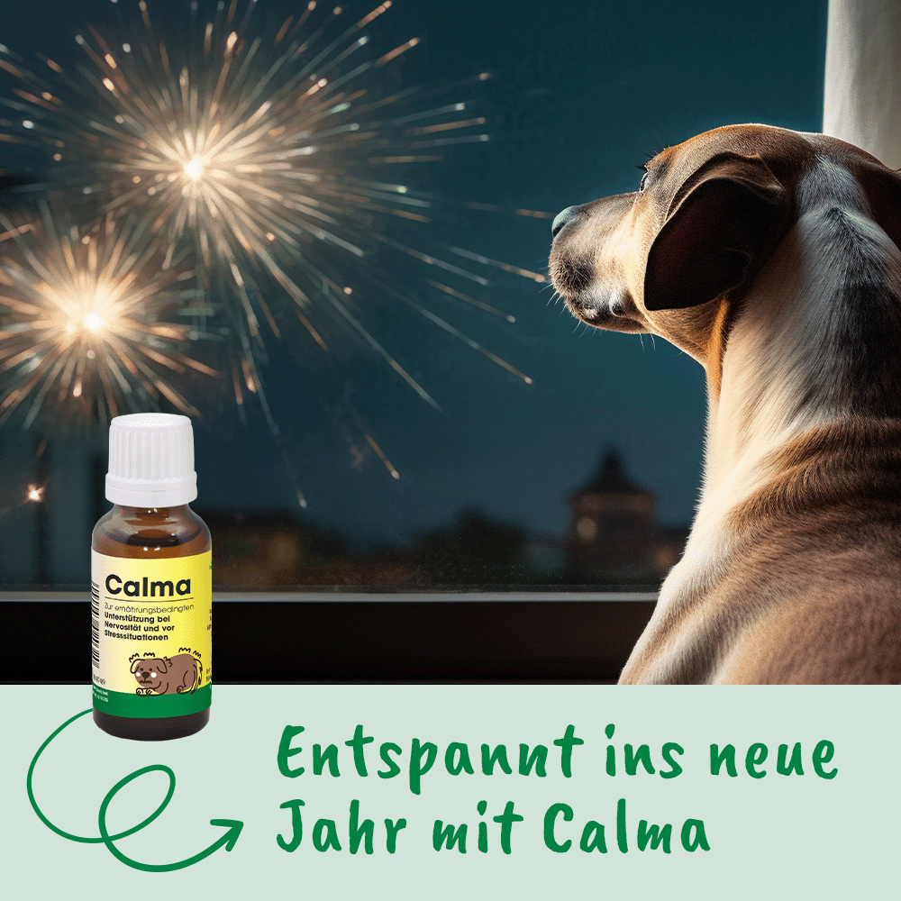 CdVet Calma flüssiges Ergänzungsfuttermittel