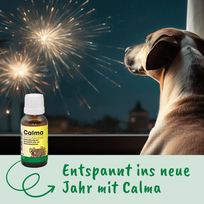 CdVet Calma flüssiges Ergänzungsfuttermittel