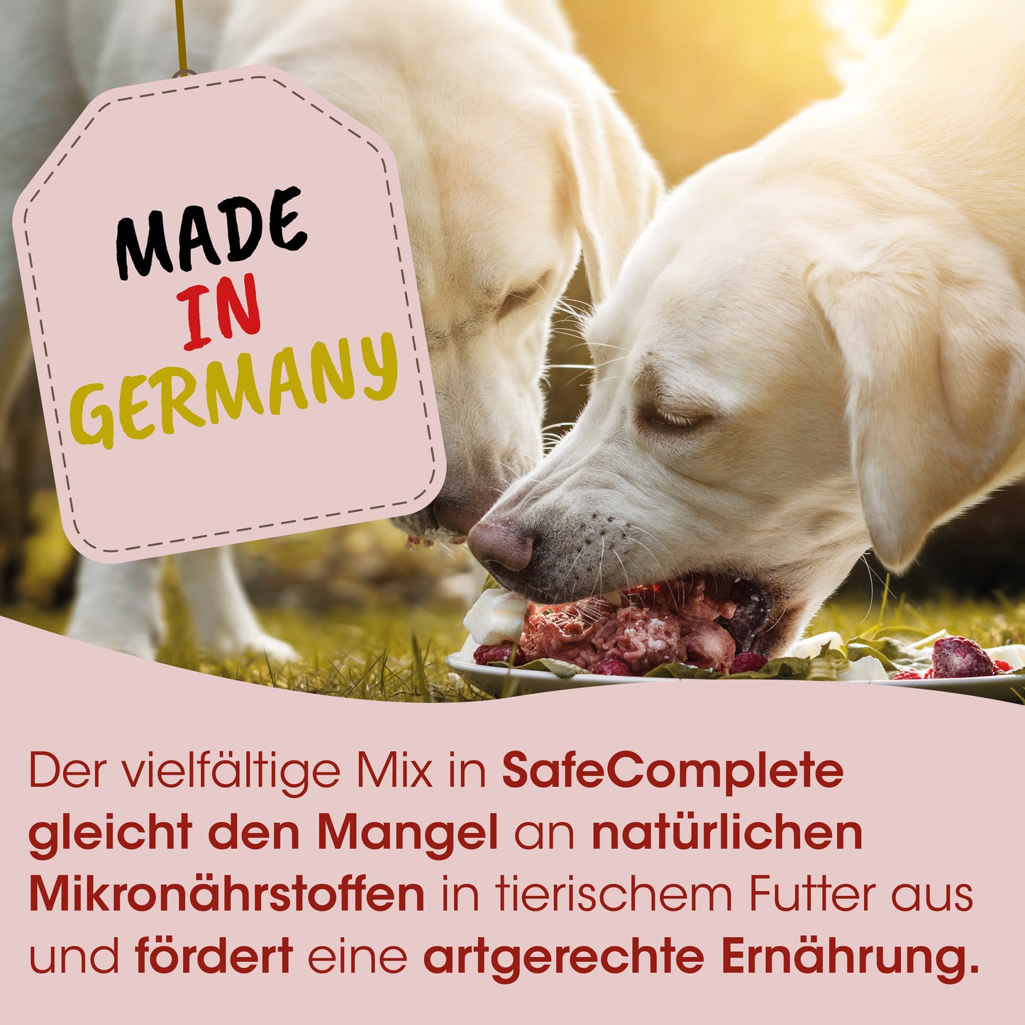 CdVet Fit-BARF Safe-Complete