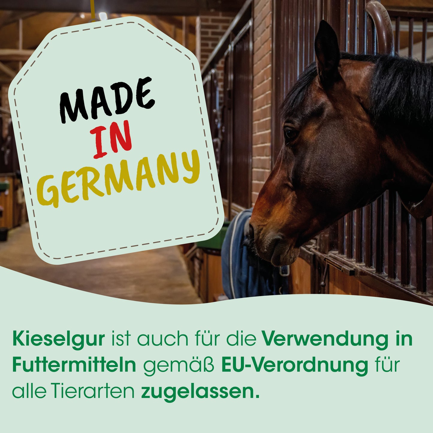 CdVet Kieselgur