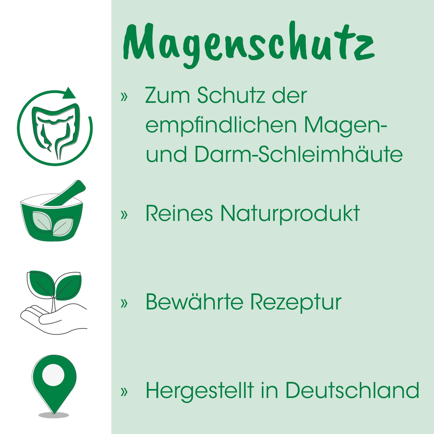 CdVet Magenschutz für Hunde & Katzen