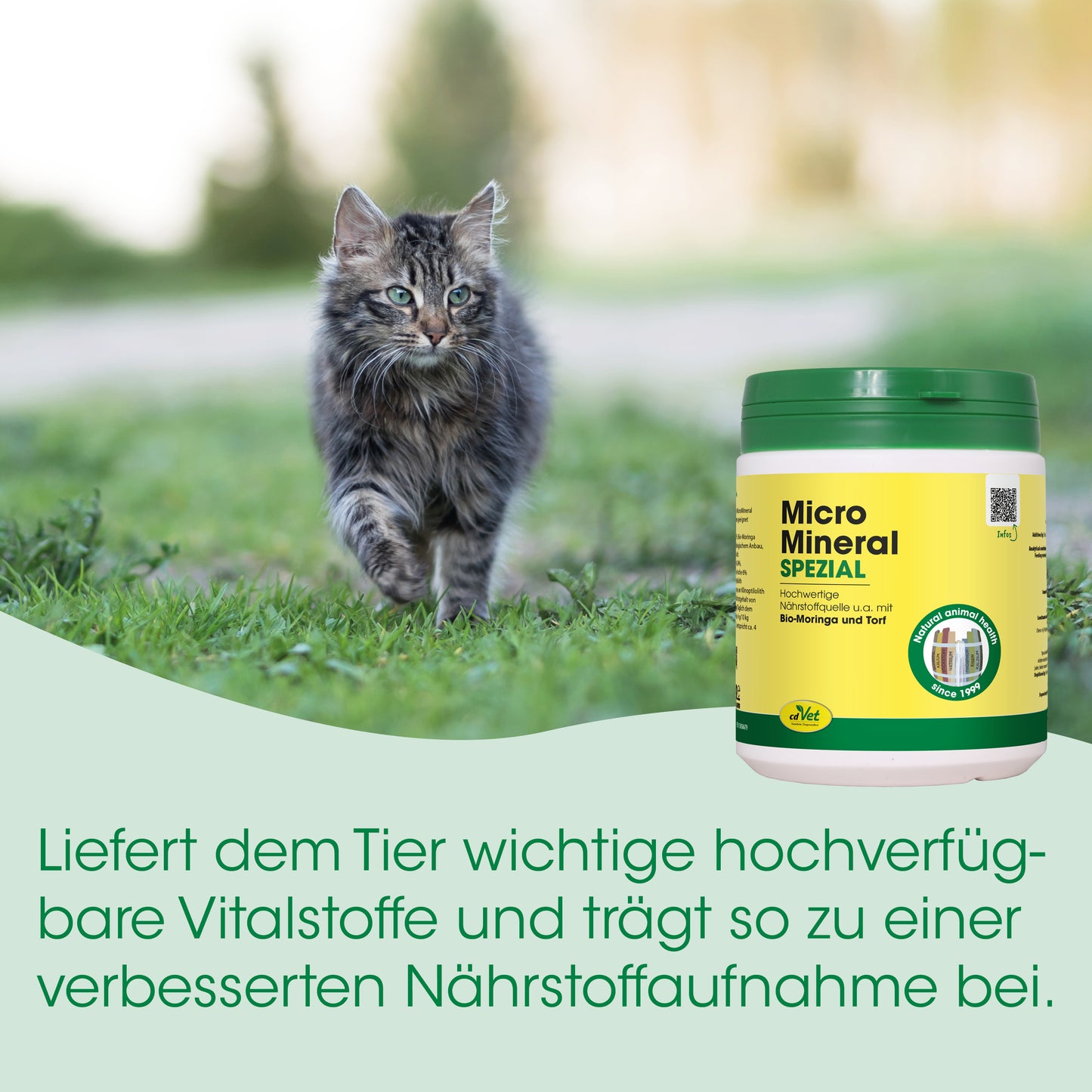 CdVet Micro-Mineral Special, Supplementary Feed for Dogs & Cats