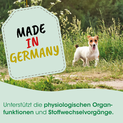 CdVet MicroMineral Hund & Katze