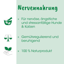CdVet Nervennahrung für Hunde & Katzen