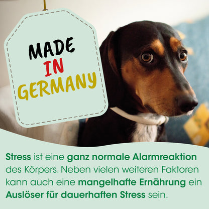 CdVet Nervennahrung für Hunde & Katzen