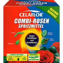 Celaflor Combi Rose Spray