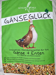 Engerts Ente/Gänseglück