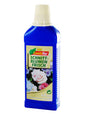 Combiflor Cut Flowers Fresh