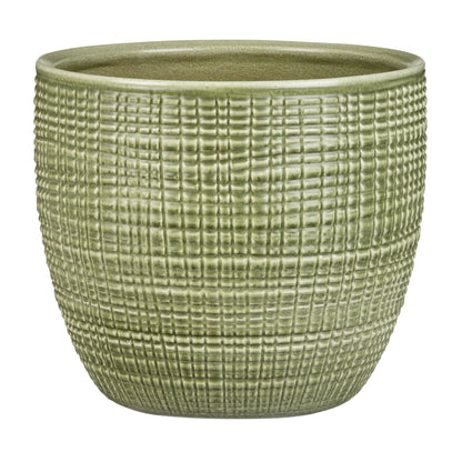 PLANTERS PIMIENTA