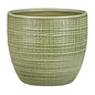 PLANTERS PIMIENTA