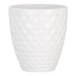 PLANTER ALASKA WHITE