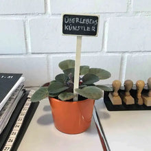 Siena GARDEN Wooden Plant Labels, 5 pieces