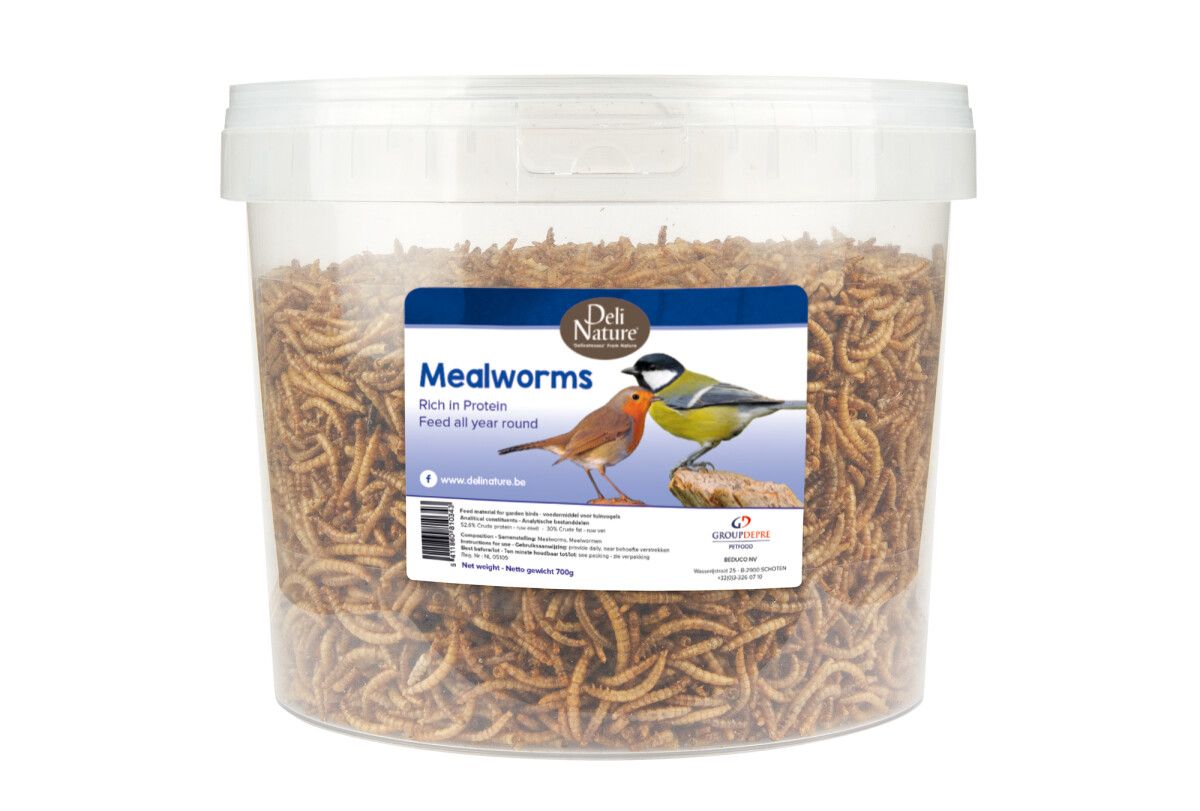 Beyers Deli Nature Mehlwürmer 700 g