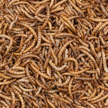 Beyers Deli Nature Mealworms Bird Food 700 g