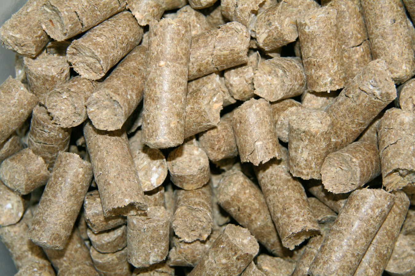 Kerbl Delizia® Belohnungswürfel Classic für Pferde