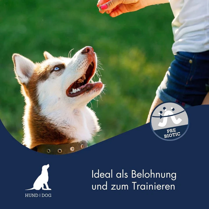 Dr.Clauder´s Trainee Snack Huhn