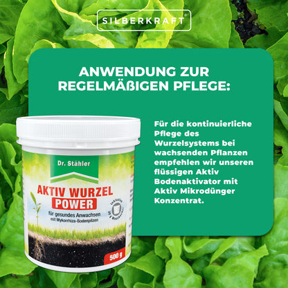 Dr. Stähler Aktiv Wurzel Power 500 g