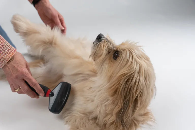 TrendPet Soft Wire Brush