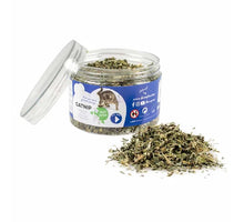 Duvo Plus Catnip Herb 30 g