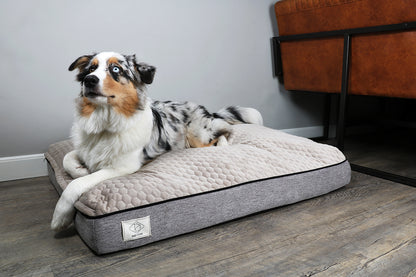 EBI Celia Dog Cushion