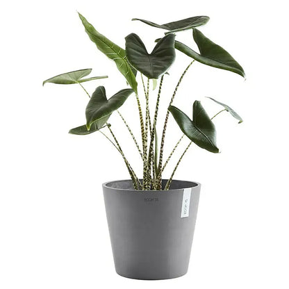 Ecopots Amsterdam runder Blumentopf mit Wasserreservoir