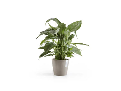 Ecopots Amsterdam runder Pflanztopf ø 20cm