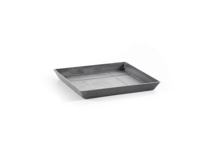 Ecopots Saucer Rotterdam Untersetzer