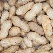 Erdnuss in Schale 10 kg