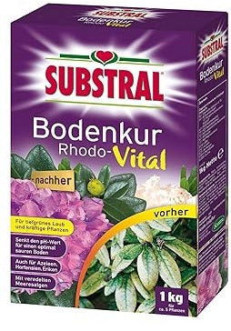 Evergreen Substral Rhodo-Vital