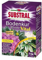 Evergreen Substral Rhodo-Vital