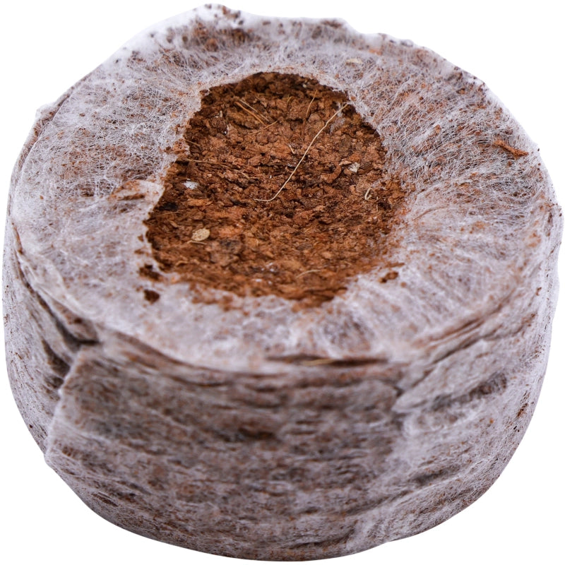 Siena GARDAN Coconut Swell Tabs