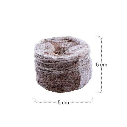 Siena GARDAN Coconut Swell Tabs